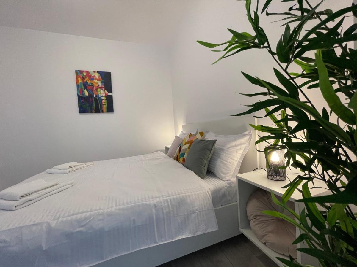 יאשי Luxury Apartment מראה חיצוני תמונה